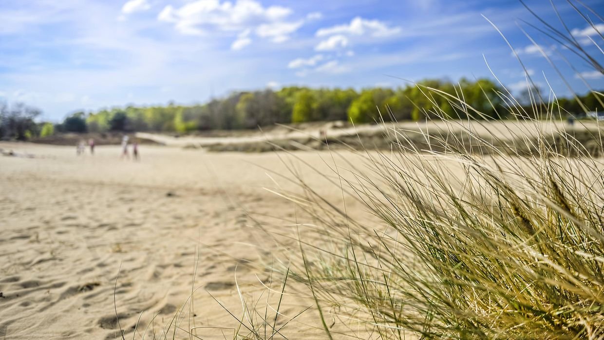 🏞️ 보베르거 니더룽 자연보호구역(보베르거 니더룽)